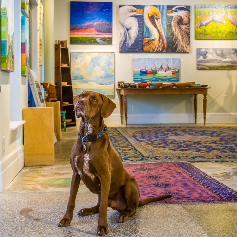 Image for Thing To Do Art Galleries